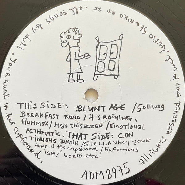 Dull Schicksal : Your Aunt In Her Cupboard (LP, Album)