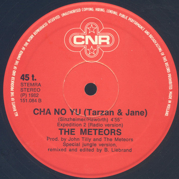 The Meteors : Cha No Yu (Tarzan & Jane) (12")
