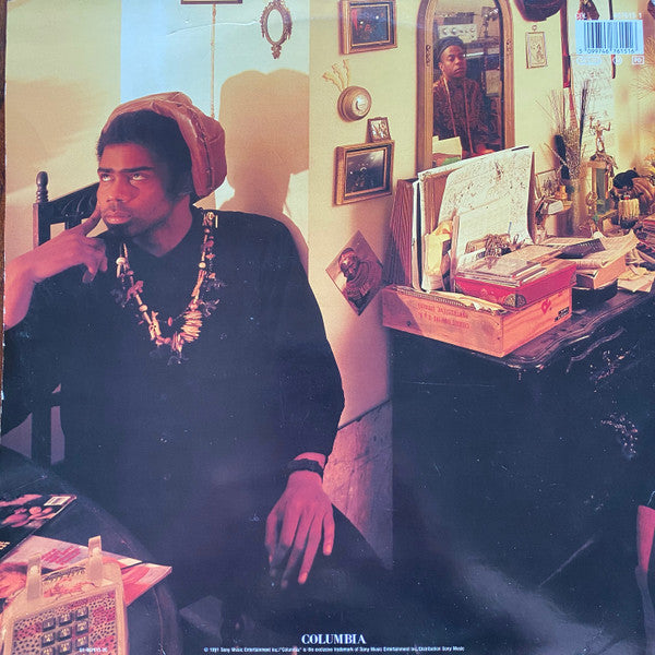 Fishbone : The Reality Of My Surroundings (2xLP, Album)
