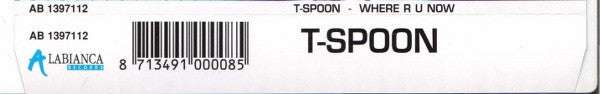 T-Spoon Featuring Jean Shy : Where R U Now (CD, Maxi)