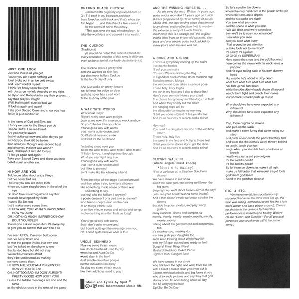 Spot : Picking Up Where I Left Off (LP, Album)