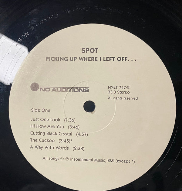 Spot : Picking Up Where I Left Off (LP, Album)