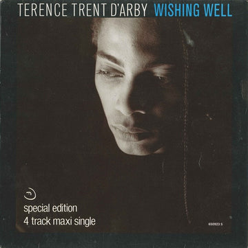 Terence Trent D'Arby : Wishing Well (12", Maxi)