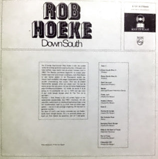Rob Hoeke : Down South (LP, Comp, Club)