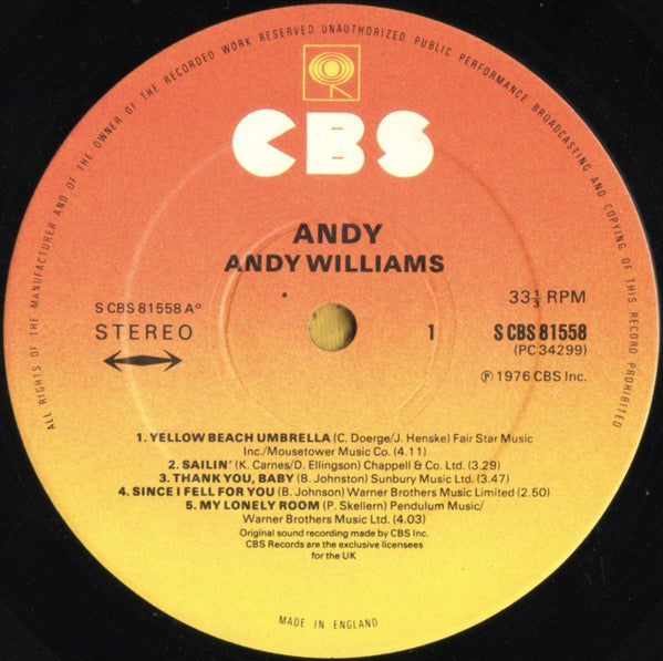 Andy* : Andy (LP, Album)