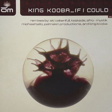 King Kooba : If I Could (2x12")