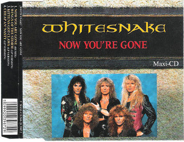 Whitesnake : Now You're Gone (CD, Maxi)