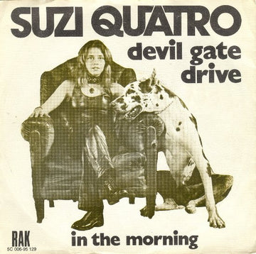 Suzi Quatro : Devil Gate Drive (7", Single)