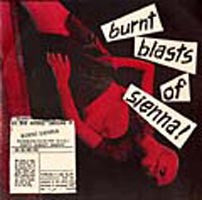 Various : Burnt Blasts Of Sienna (7", Comp)