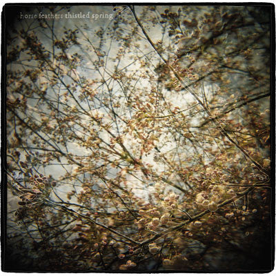 Horse Feathers : Thistled Spring (CD, Album)