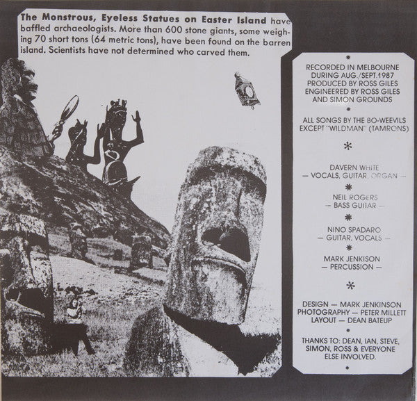 The Bo-Weevils : The Vortex Took Them (12", EP)