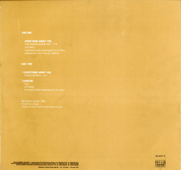 My Jealous God : Everything About You (Remix) (12")