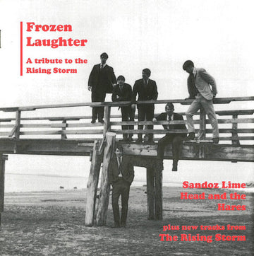 Various : Frozen Laughter A Tribute To The Rising Storm (2x7", Comp)