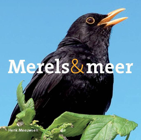 Henk Meeuwsen : Merels En Meer (CD)