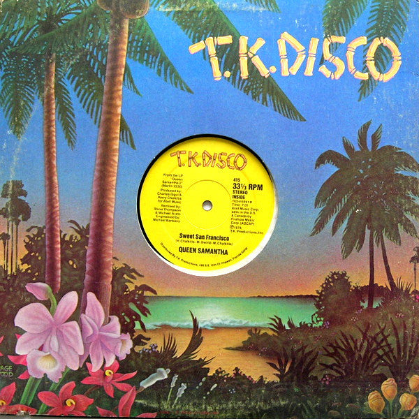 Queen Samantha : Take A Chance (12")