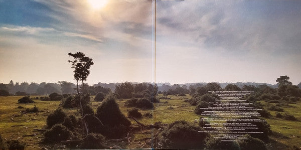 Pure Reason Revolution : Above Cirrus (LP, Album, 180 + CD, Album)