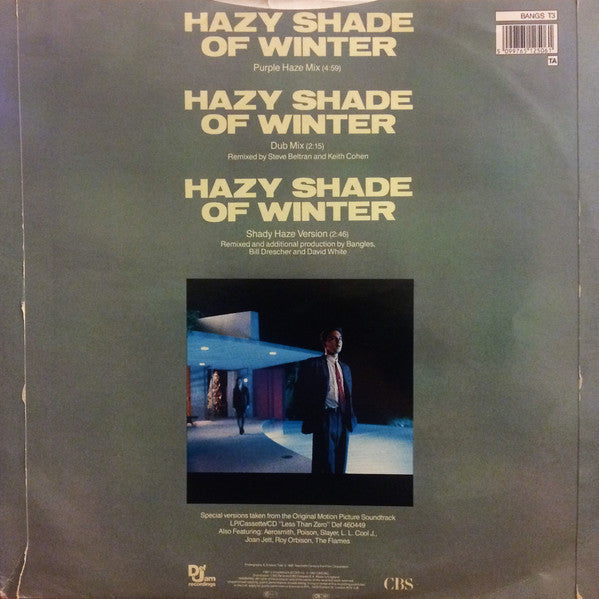 Bangles : Hazy Shade Of Winter (12", Single)