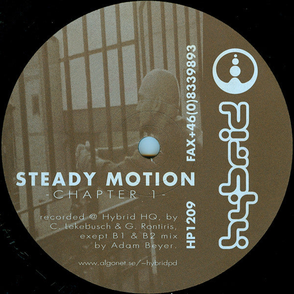 Steady Motion : Chapter 1 (12")