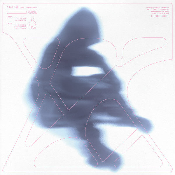 Tsvi & Loraine James : 053 (12")