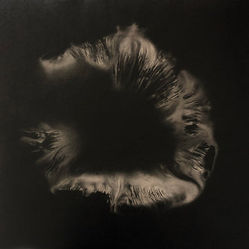Rook (20) : Infinite Empty (LP, Album, Whi + LP, S/Sided, Album, Whi)