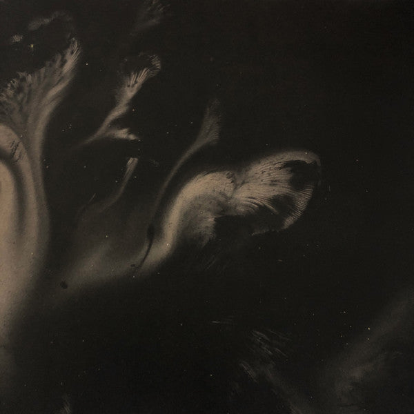 Rook (20) : Infinite Empty (LP, Album, Whi + LP, S/Sided, Album, Whi)