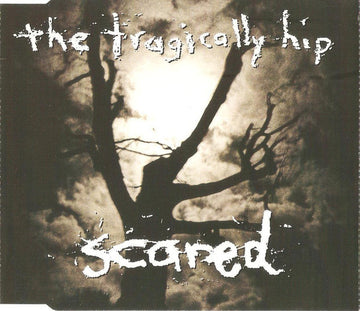 The Tragically Hip : Scared (CD, Single)