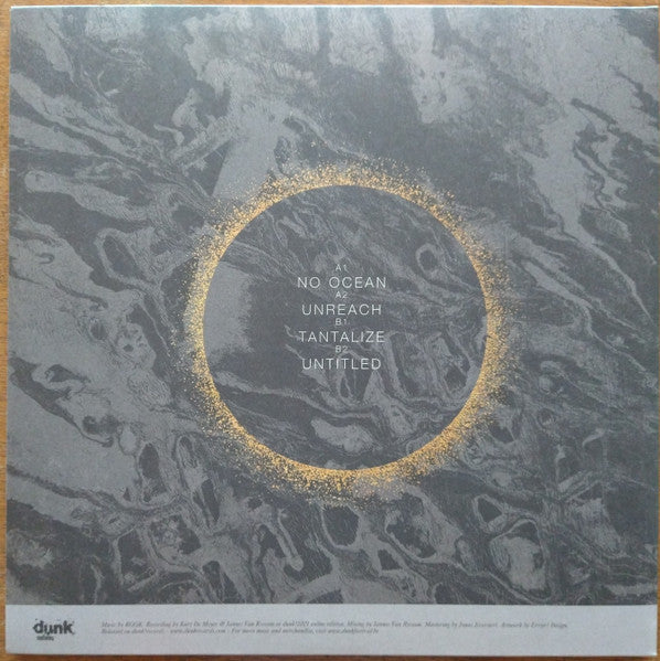 Rook (20) : Live At Dunk!2021 (LP, Ltd, Tra)