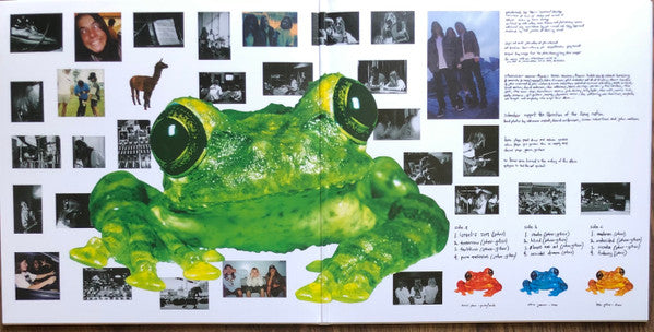 Silverchair : Frogstomp (LP, Cle + LP, S/Sided, Etch, Cle + Album, Ltd, Num)