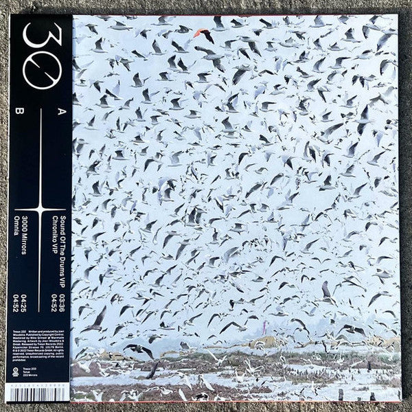 Torus (4) : 333 Mirrors (12", EP, 180)