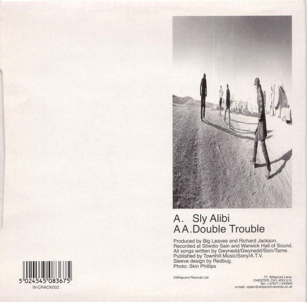 Big Leaves : Sly Alibi / Double Trouble (7")
