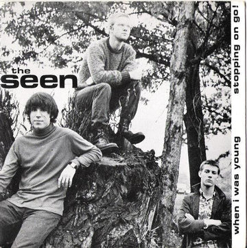 The Seen : When I Was Young / Stopping On Go! (7", Single)