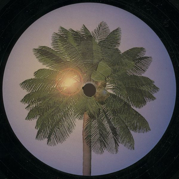 Paragliders : Oasis (12")
