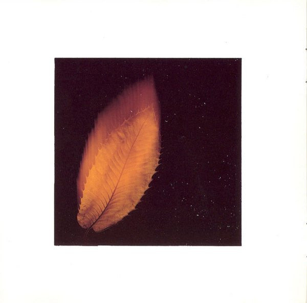 Peter Gabriel : Shaking The Tree: Sixteen Golden Greats (CD, Comp)