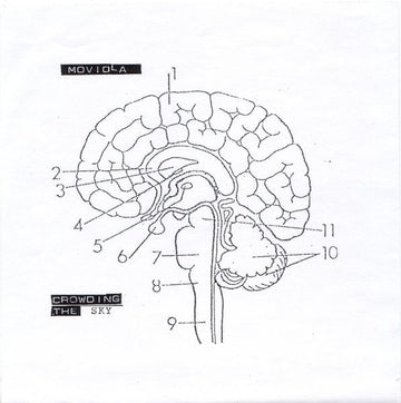 Moviola : Crowding The Sky (7", Ltd)