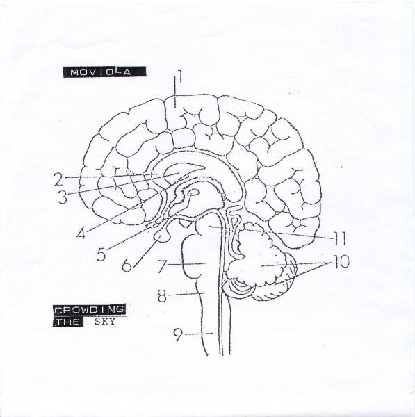 Moviola : Crowding The Sky (7", Ltd)