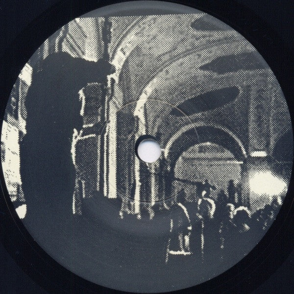 The Haters : Predetermined By Accident (7")