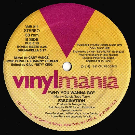 Fascination : Why You Wanna Go (12")