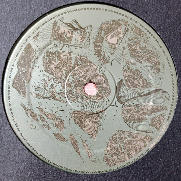 Various : Mineral Comp 01 (2x12", Comp, RM)