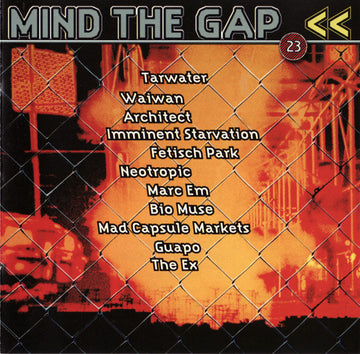 Various : Mind The Gap Volume 23 (CD, Comp)