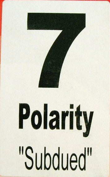 Polarity : Subdued (12")