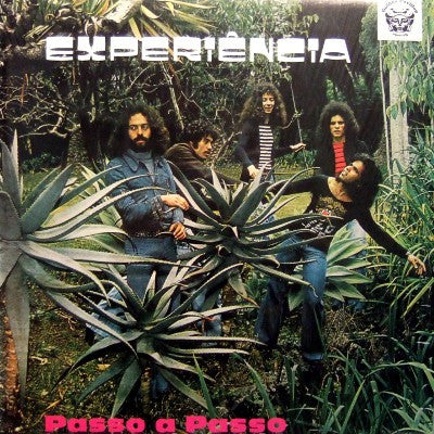 Experiência : Passo A Passo (LP, Album, RE)
