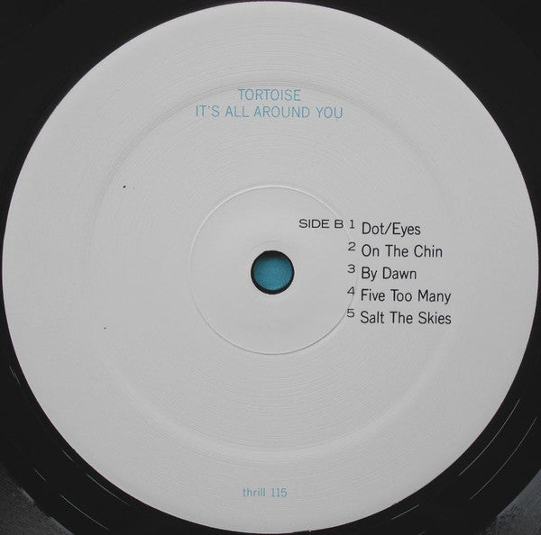 Tortoise : It's All Around You (LP, Album)