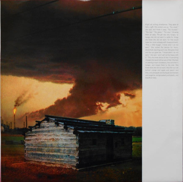 Tortoise : It's All Around You (LP, Album)