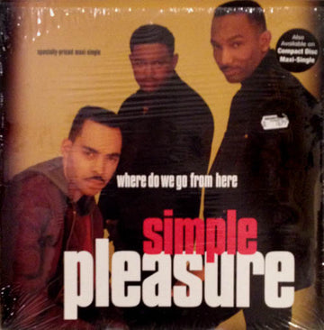 Simple Pleasure : Where Do We Go From Here (12", Maxi)