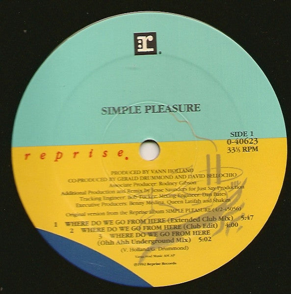 Simple Pleasure : Where Do We Go From Here (12", Maxi)