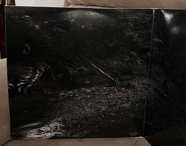 Lorna Shore : Pain Remains (2xLP, Album, Ltd, Pin)
