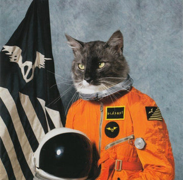 Klaxons : Surfing The Void (CD, Album, Enh)