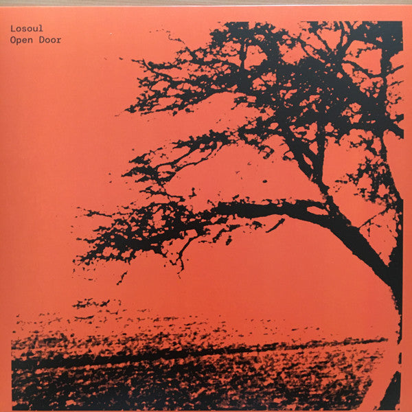 LoSoul : Open Door (2x12", RE, RM)