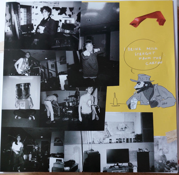 Personal Trainer : Big Love Blanket (LP, Album)