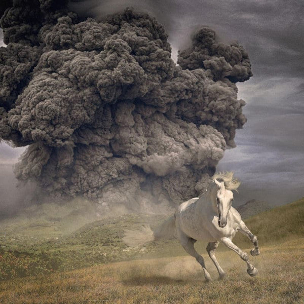 The White Buffalo : Year of the Dark Horse (LP, Album, Blu)